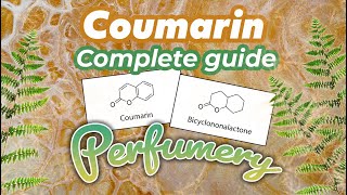 Famous molecules in perfumery  Coumarin [upl. by Ahsiyt]