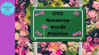 CVC Nonsense Words Practice 3 no music AcadienceDibels NWF [upl. by Aniluj]