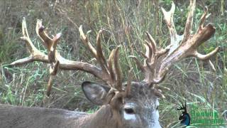 322 Inch Whitetail Buck with a Crossbow in Alabama [upl. by Jackquelin]