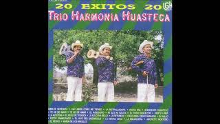 Trio Armonia Huasteca  20 Exitos Disco Completo [upl. by Dulcinea443]