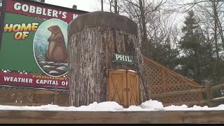 How Punxsutawney Phil transforms a town [upl. by Meehar]