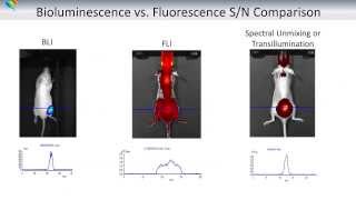 Basics Of Optical Imaging In Vivo  Part I Tissue Optics [upl. by Elmina745]