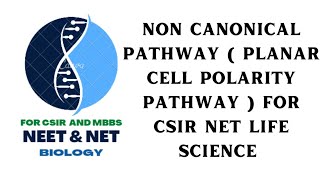 Non Canonical Pathway  Planar Cell Polarity Pathway  Wnt Siganl Transduction For NET Life Science [upl. by Enihpled]