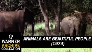 quotAll Creatures Great and Smallquot 1975 [upl. by Cand]