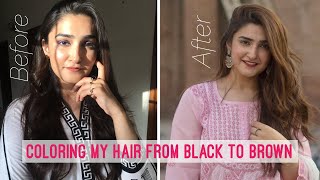 HOW I DYE MY HAIR  LIGHT ASH BROWN AT HOME [upl. by Adniled433]