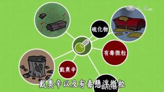 【中秋≠烤肉】炭烤造成地球的危害 [upl. by Lieno]