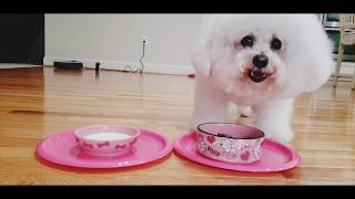 Bella Bichons Chicken Hearts amp Livers  Homemade dog’s food recipe [upl. by Rotce46]