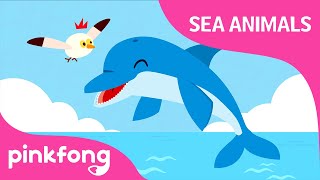 Click Click Dolphin  Sea Animals Song  Dolphin Song  Pinkfong Songs for Children [upl. by Saba]