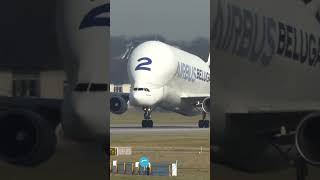 Airbus BELUGA Takeoff [upl. by Proulx]