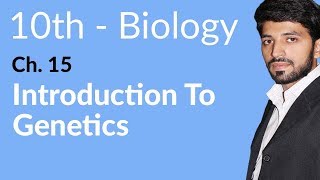 10th Class Biology Chapter 15  Introduction to Genetics  Class 10 Biology Chapter 15 [upl. by Ahsiekyt]