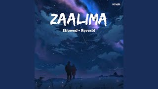 Zaalima Slowed  Reverb [upl. by Burleigh]