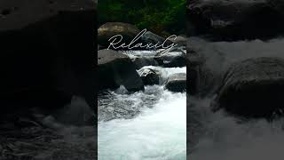 quotFeel Calm in 60 Seconds  River Sound Therapyquot asmr [upl. by Richel844]