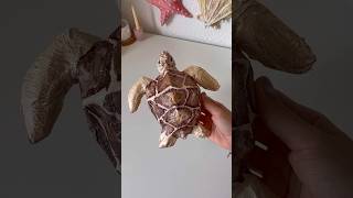 DIY sea turtle tutorial🌊🐢 [upl. by Leuqer]