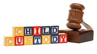 Preparing for a Custody Hearing  Pennsylvania [upl. by Zulch]