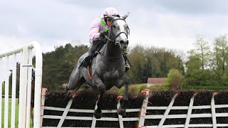 LOSSIEMOUTH completes CheltenhamPunchestown double [upl. by Ellah]