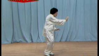 Sunstyle Taijiquan [upl. by Inafets]