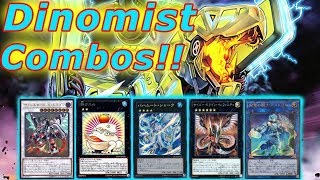 YGOPRO  DINOMIST DECK  Dinomight Powerload the Dracoslayer [upl. by Ellemac]