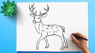 How to draw a Deer 💙 [upl. by Gaile90]