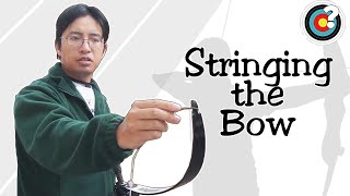 Archery  How to String a Bow [upl. by Edecrem]