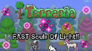 How To Get Souls of Light In Terraria Updated 2021 [upl. by Brufsky]