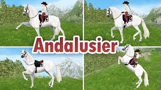 OMG wunderschön 😍 Andalusier kaufen SSO [upl. by Htebarual237]