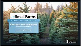 How to Start Your Own Christmas Tree Farm [upl. by Aiello]