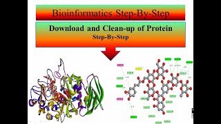 Molecular Docking with AutoDock Vina  Protein Download and Cleanup Tutorial2  For beginners [upl. by Annairol433]