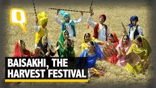 The Quint The Story of Baisakhi Bihu And India’s Harvest Festivals [upl. by Eoin]