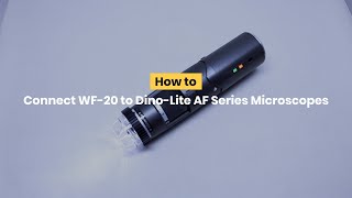 How to Connect WF20 to DinoLite AF Series Digital Microscope [upl. by Hillell]