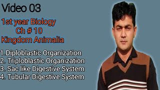 Diploblastic And Triploblastic Organization Sac like Digestive system VS Tubular Digestives system [upl. by Aved]