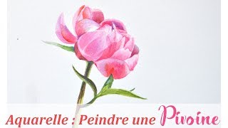 Peindre une pivoine à laquarelle [upl. by Edina]