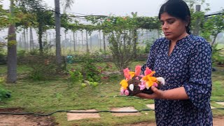 Life at Farm ప్రకృతి జీవనం BLikeBindu [upl. by Yeliac]