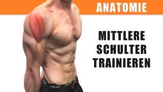 Mittlere Schulter trainieren – Anatomie des Deltamuskels – Seitliche Schulter [upl. by Eiroj]