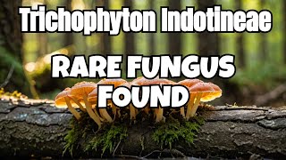 Rare Fungus Discovered Trichophyton Indotineae  What You Need To Know  11TH Aug currentaffairs [upl. by Esinaj]