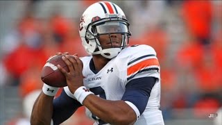 Most Exciting QB in Auburn Football History  Auburn QB Cam Newton 2010 Highlights ᴴᴰ [upl. by Ellimak]