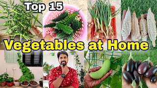 15 Easy Vegetables you can grow at Homepot  Small space kitchen garden at home [upl. by Larrad639]