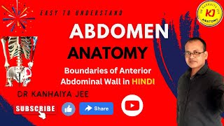 Anterior abdominal wall boundariesAnterior abdominal wallAbdomen anatomyAnatomy abdomen [upl. by Giorgia]