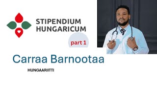 STEPINDIUM HUNGARICUM Carraa barnootaa guutuu biyya hungaaritti part 1 [upl. by Lorne70]