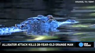 Alligator kills man taking latenight swim in Texas [upl. by Jojo]