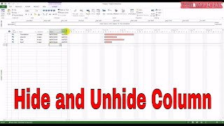 MS Project Tutorial  How to Hide and Unhide Insert any Column  NTD [upl. by Feriga711]