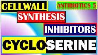 Cycloserine Antibiotics Pharmacology Mechanisms Actions Resistance Part 5 [upl. by Ecela]