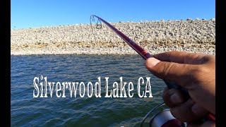 Silverwood Lake CA Fishing [upl. by Yroger107]