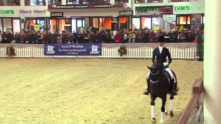 Trakehner Hengst quotIvanhoequot v Millennium  Hohenstein [upl. by Timothy]