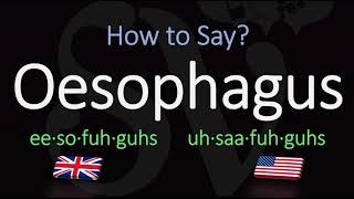 How to Pronounce Oesophagus CORRECTLY Meaning amp Pronunciation [upl. by Gran]