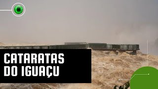 Cataratas do Iguaçu cheia histórica gera imagens impressionantes [upl. by Inalaeham]