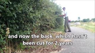 trimming hawthorn hedge down foot path [upl. by Ramsa]