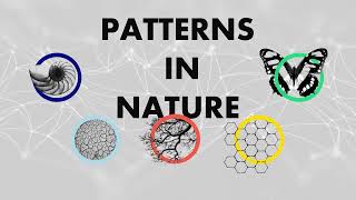 PATTERNS IN NATURE [upl. by Leff343]