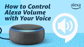 How to Control Alexa Volume with Your Voice [upl. by Graniah]