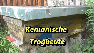 Kenianische Trogbeute [upl. by Odnalor]