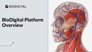 The BioDigital Human  Platform Overview [upl. by Okkin512]